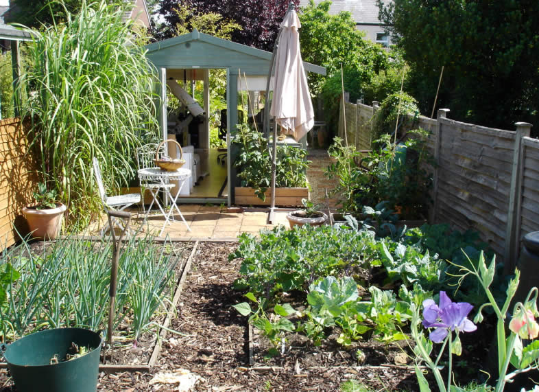 Veg patch and studio | Jane Follis Garden Design